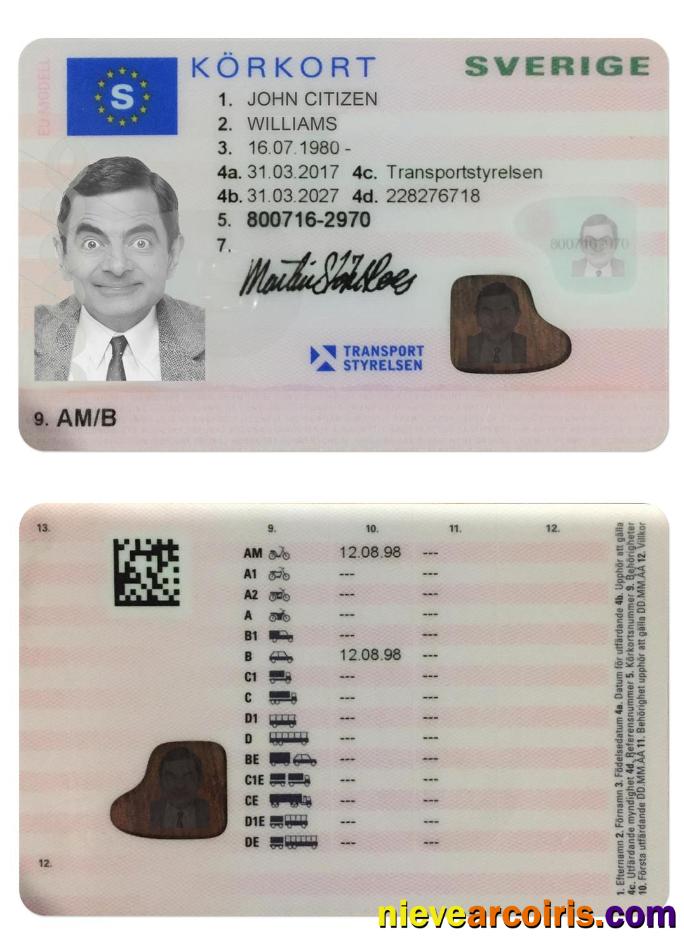 SWEDEN driving license (2016-present)